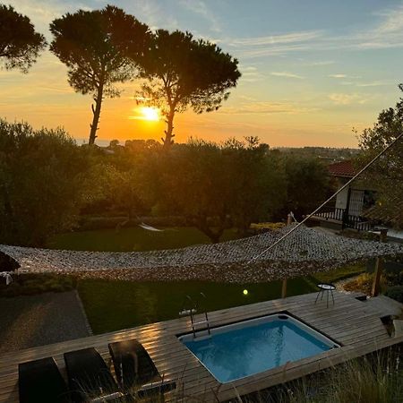 Sea View Villa In Olive Garden Nea Kallikrateia エクステリア 写真