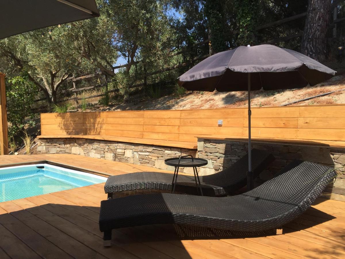 Sea View Villa In Olive Garden Nea Kallikrateia エクステリア 写真