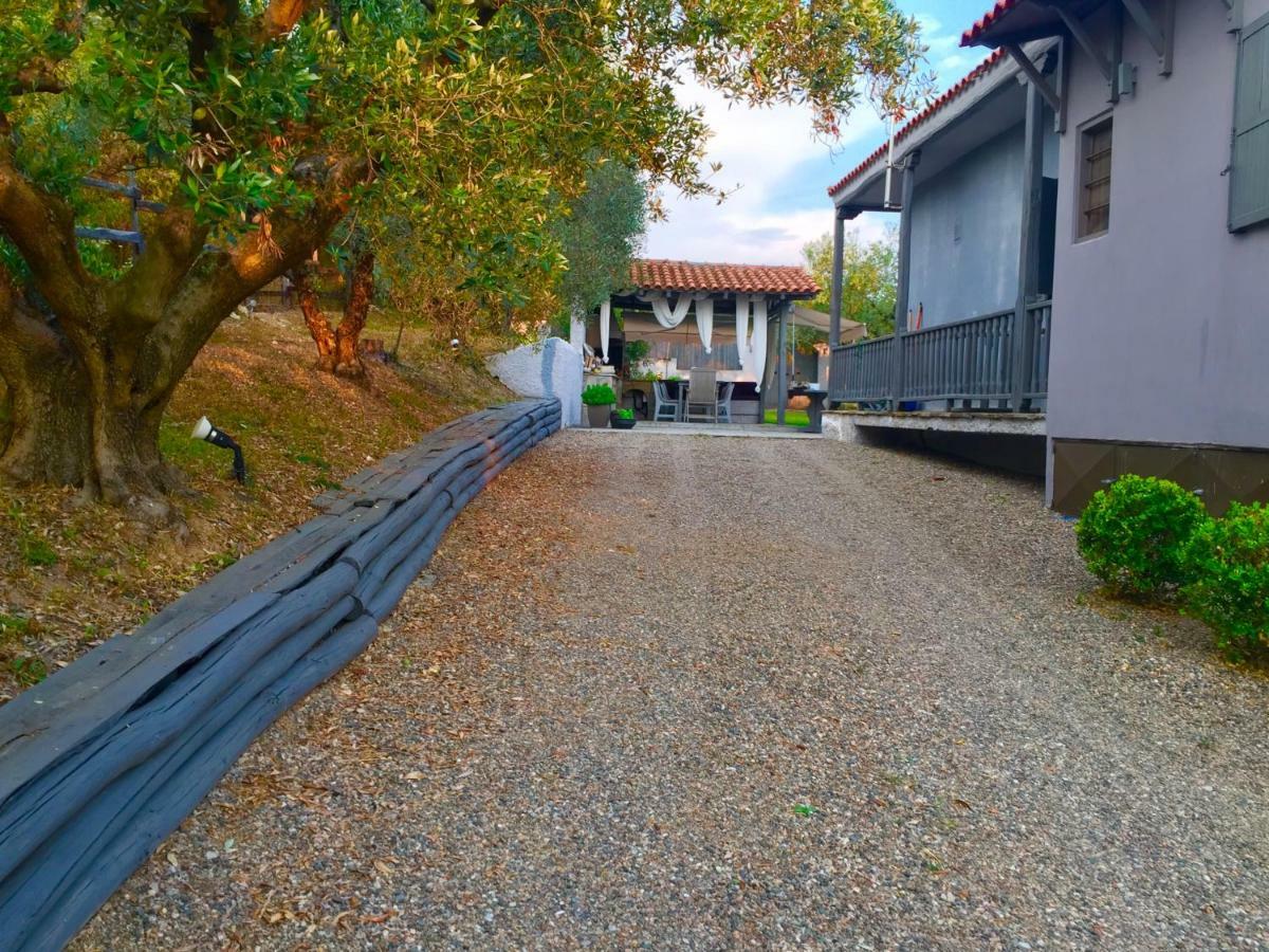 Sea View Villa In Olive Garden Nea Kallikrateia エクステリア 写真