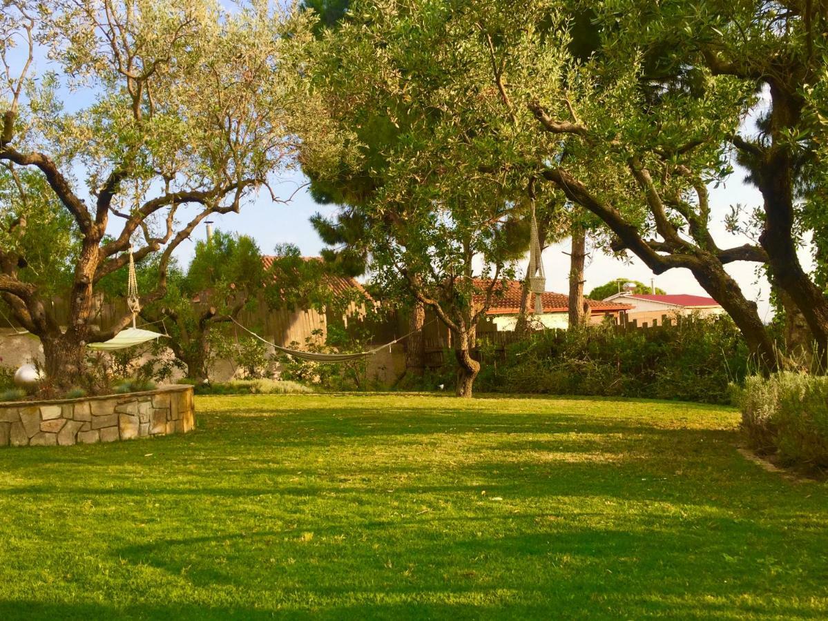 Sea View Villa In Olive Garden Nea Kallikrateia エクステリア 写真