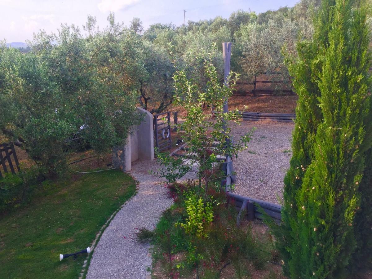 Sea View Villa In Olive Garden Nea Kallikrateia エクステリア 写真