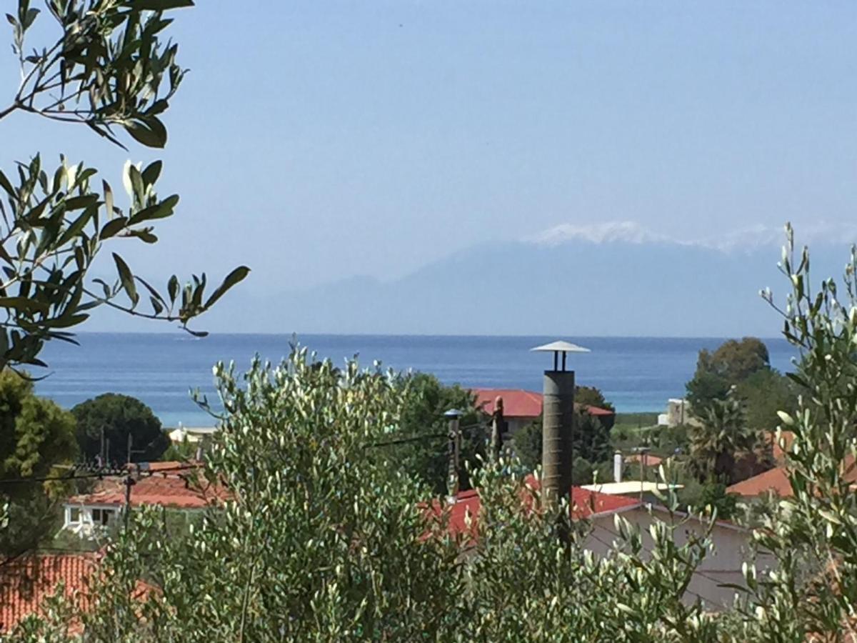 Sea View Villa In Olive Garden Nea Kallikrateia エクステリア 写真